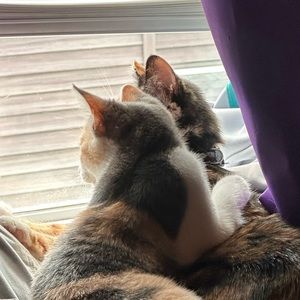 Meet your Posher, Marsy